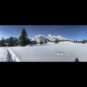 Meet your Posher, Riley